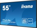 IIYAMA Monitor 54.6 cala ProLite LH5541UHS-B2 24/7 500cd 4K IPS