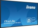 IIYAMA Monitor 54.6 cala ProLite LH5541UHS-B2 24/7 500cd 4K IPS