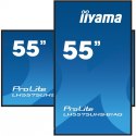 IIYAMA Monitor 54.6 cali ProLite LH5575UHS-B1AG 24/7,IPS,ANDROID.11,4K,500cd/m2,WiFi,3xHDMI,DP,Daisy/Chain,2xUSB,2x10W,RJ45,iiSignage2,