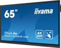 IIYAMA Monitor 65 cali ProLite TE6512MIS-B3AG 40pkt,IPS,4K,24/7, 7H,WiFi,VGA,HDMI,USB-c,Bluetooth,metal,8ms,Vesa,2x16W