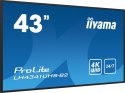 IIYAMA Monitor ProLite LH4341UHS-B2 42.5 cala 24/7,500cd,4K,IPS,3xHDMI