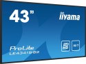 IIYAMA Monitor 42.5 cala ProLite LE4341S-B2 IPS,FHD,18/7,LAN,HDMI