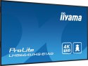 IIYAMA Monitor 85.6 cala ProLite LH8664UHS-B1AG,24/7,IPS,ANDROID.11,4K