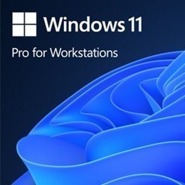 Microsoft OEM Win Pro for Wrkstns 11 PL x64 HZV-00117